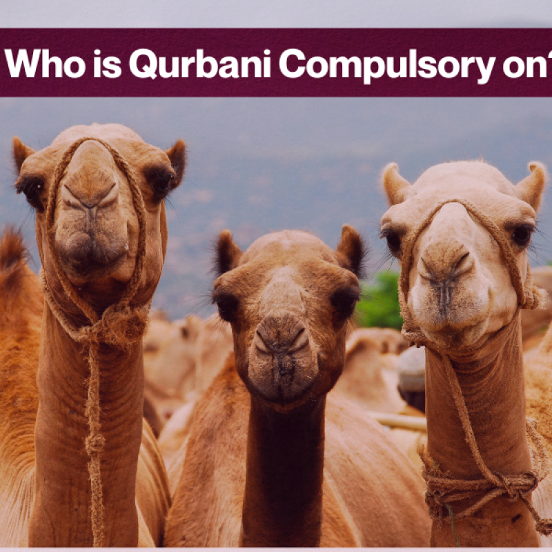 Essential to understand who is obligated to perform Zabiha