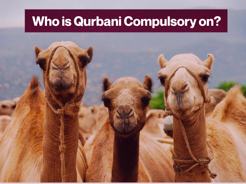 Essential to understand who is obligated to perform Zabiha